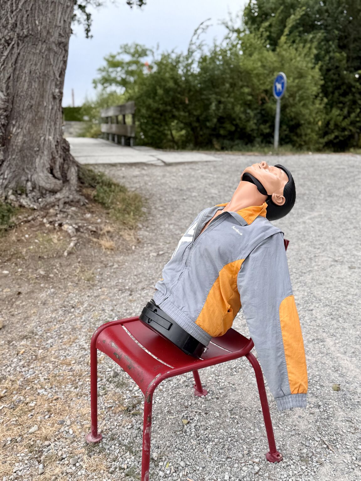 No alternative text description for this image